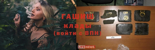 метадон Ельня