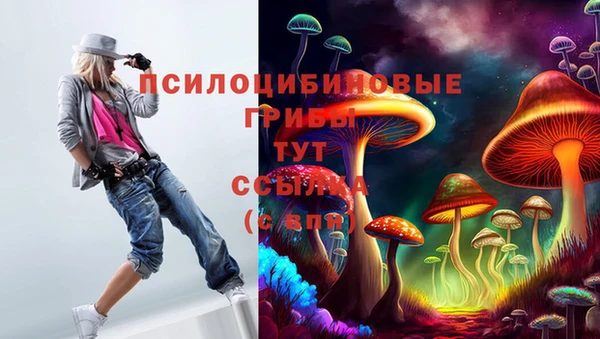 метадон Ельня