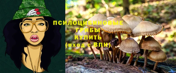 дурь Елизово