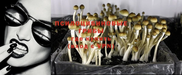 тгк Навашино