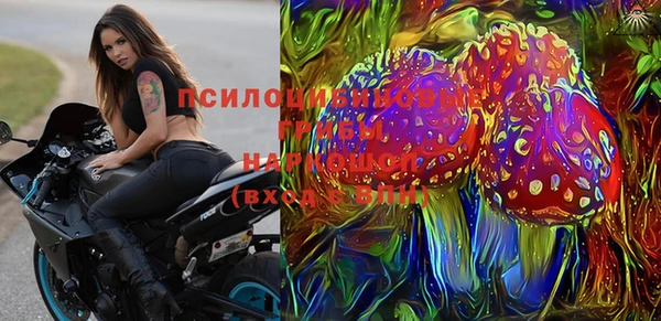 дурь Елизово