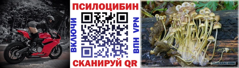 Галлюциногенные грибы GOLDEN TEACHER  мега ССЫЛКА  Ельня 